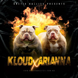 Kreezy