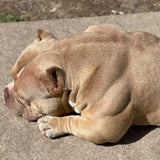 Golden Child